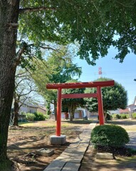 [神社]鷲宮