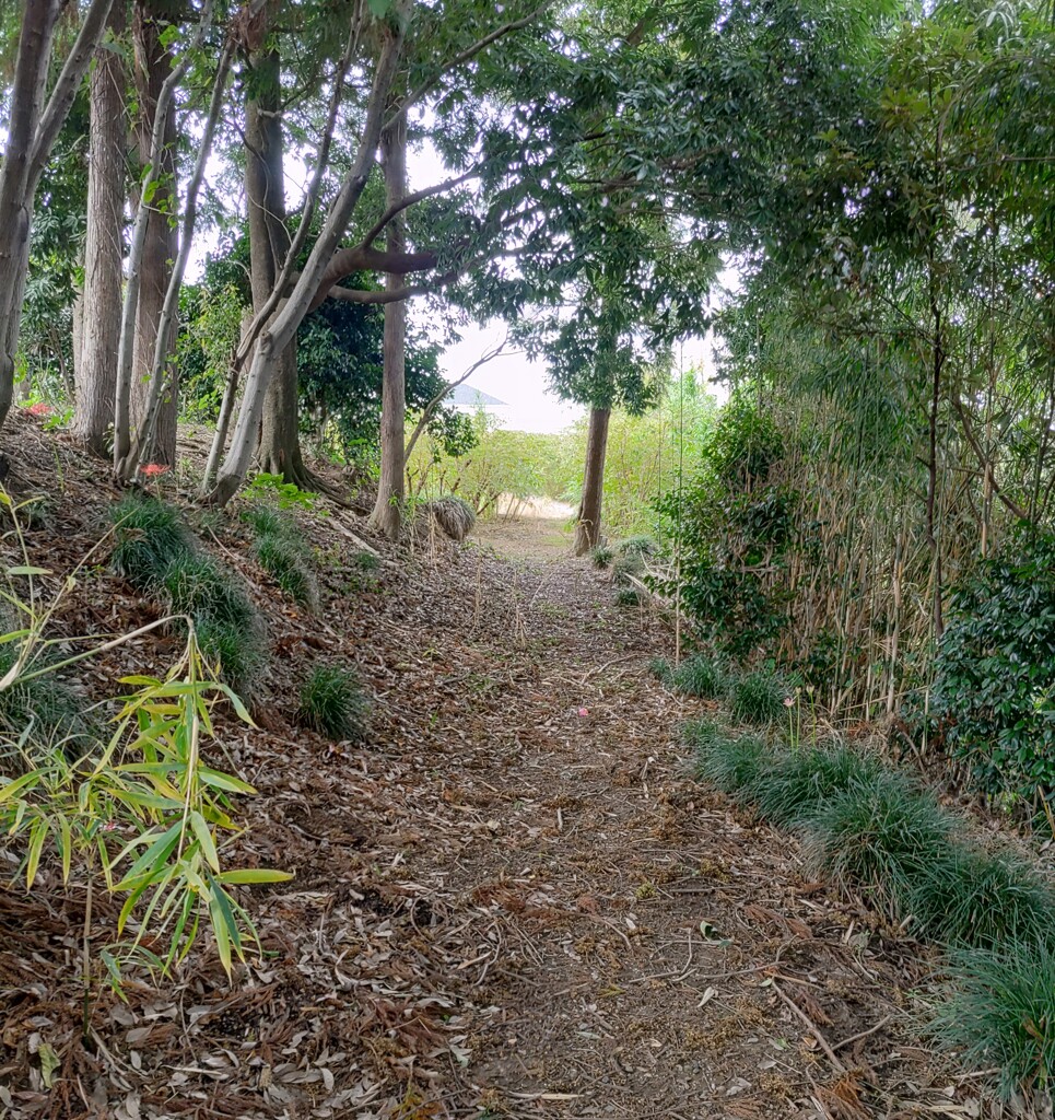 [径風景]
