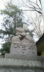 『兎神使』