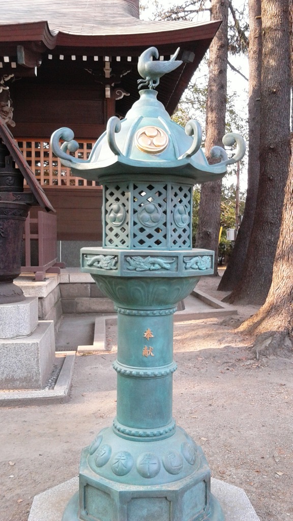 [金灯籠]