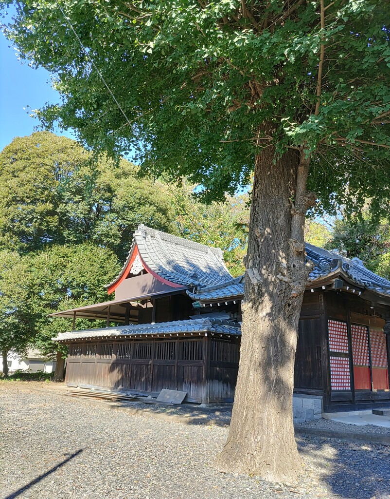 [神社]氷川