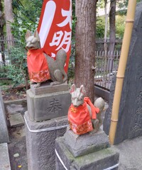 [神使]狐