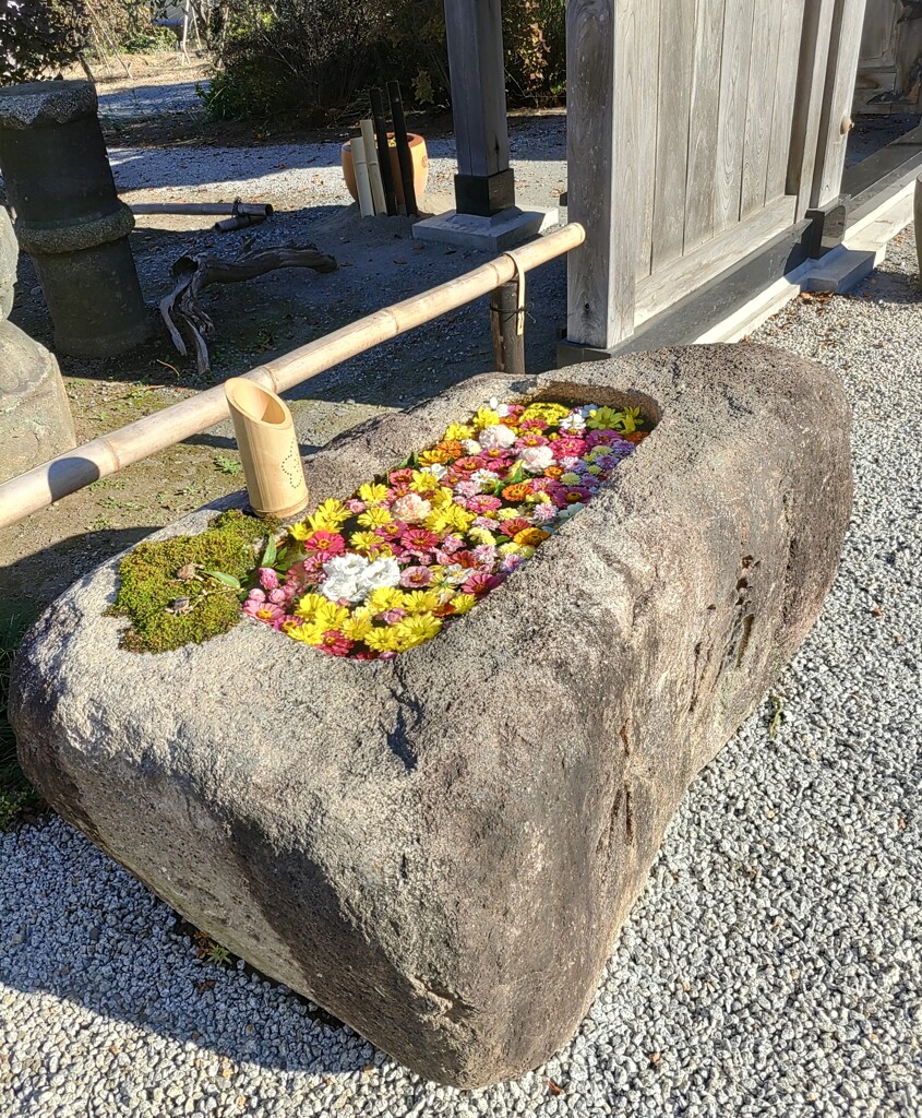 [手水鉢]
