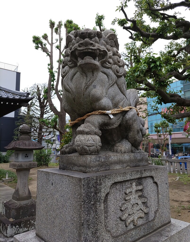 [狛犬]右
