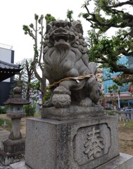 [狛犬]右