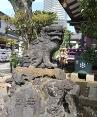 [狛犬]左