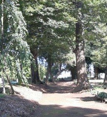 [径風景]