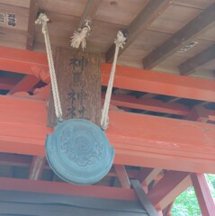 音[鰐口]