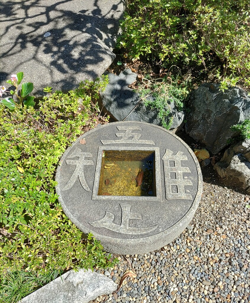 [手水鉢]