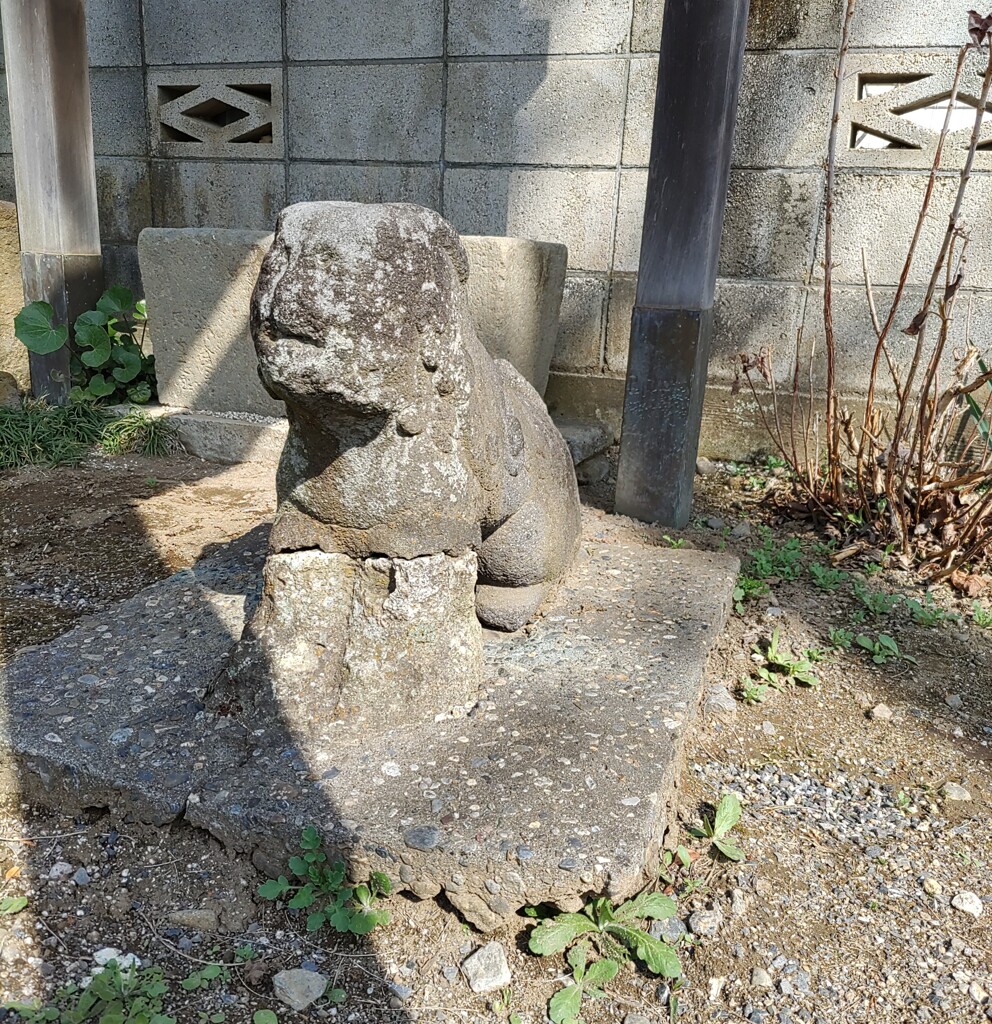 [狛犬]右