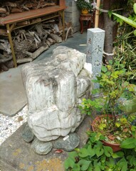 「木」化石