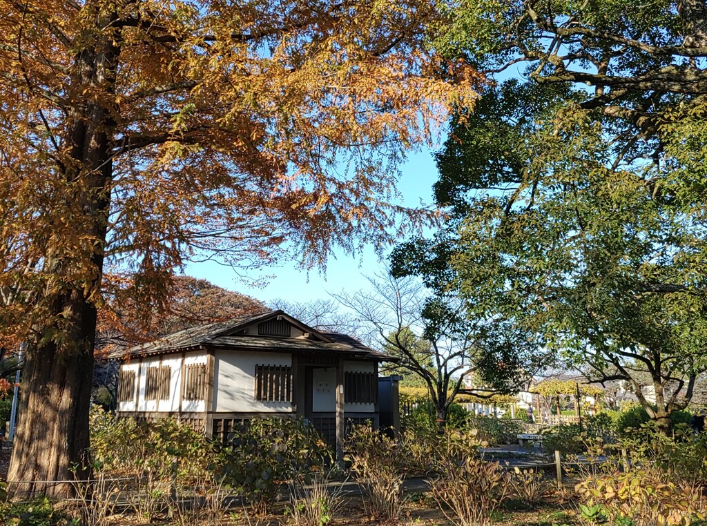 【街中】ﾄｲﾚ