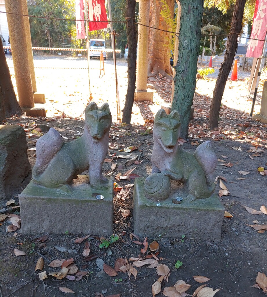 [神使]狐