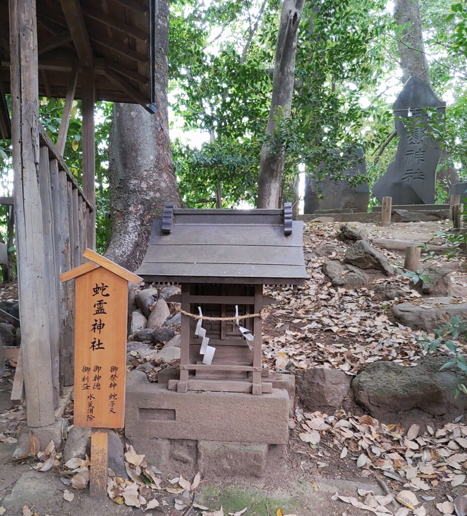 [蛇霊神社]