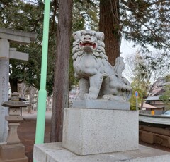 [狛犬]右