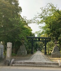 [八幡神社]
