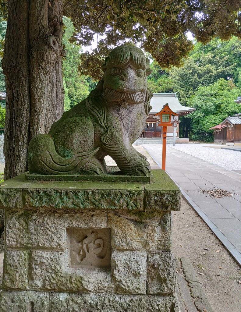 [狛犬]左