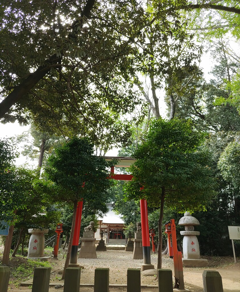 [久伊豆神社]