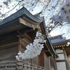 ｢ｻｸﾗ｣