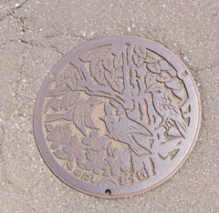 [ﾏﾝﾎｰﾙ]