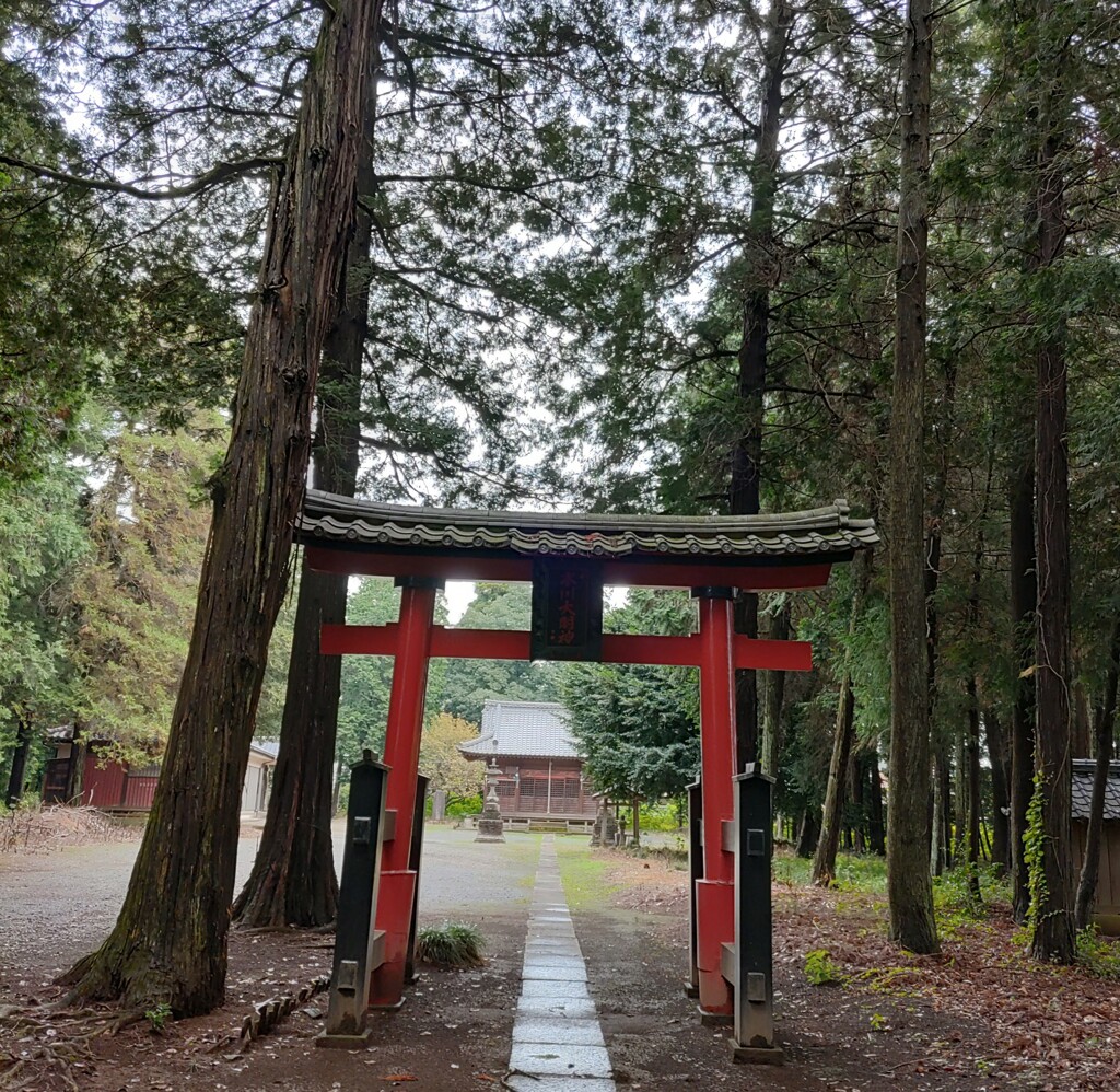 [神社]氷川