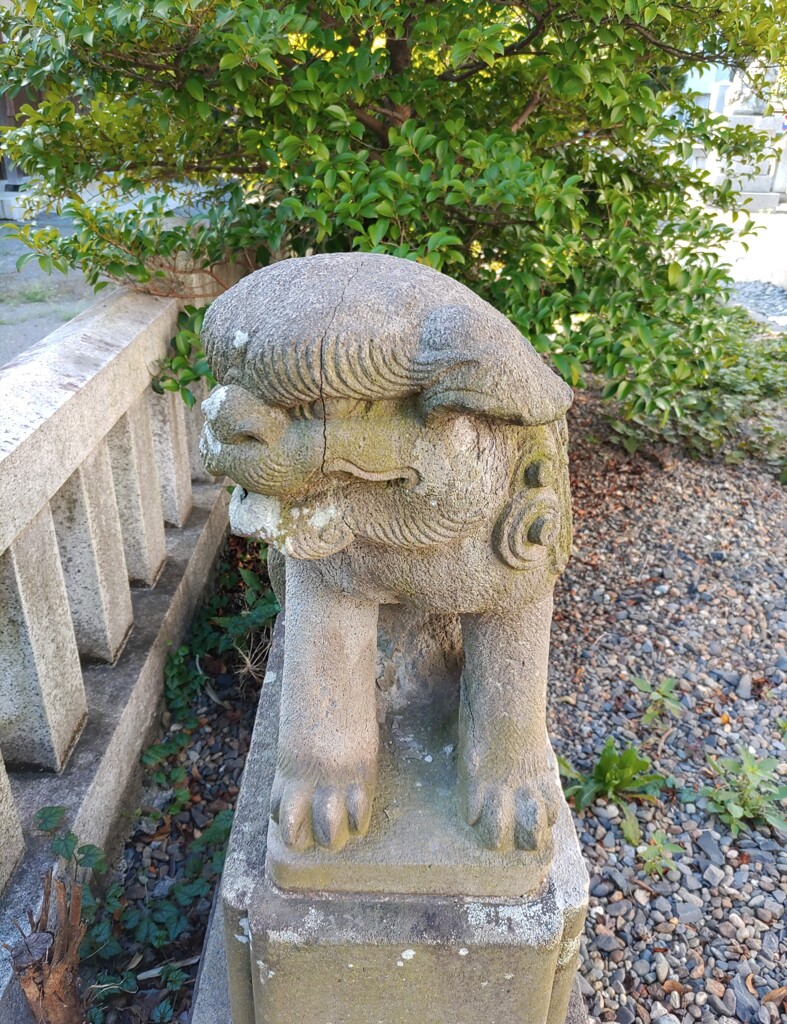[狛犬]左