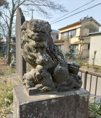 [狛犬]右