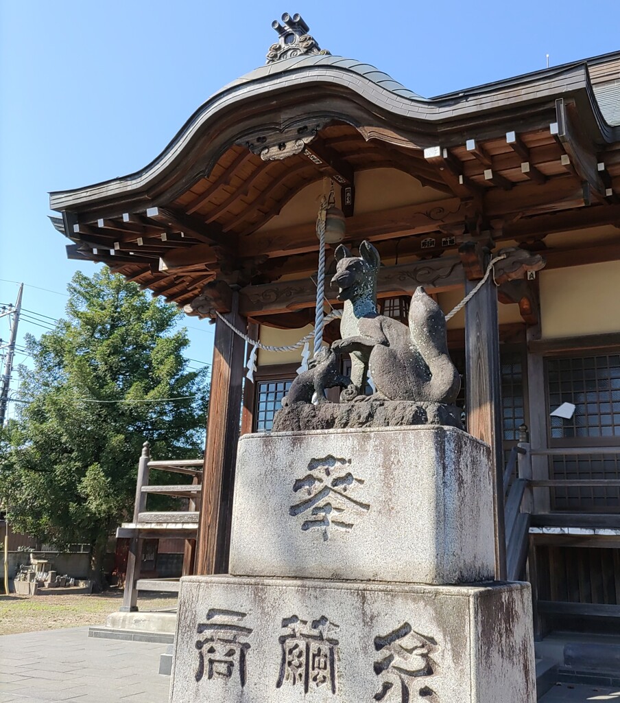 [神使]狐