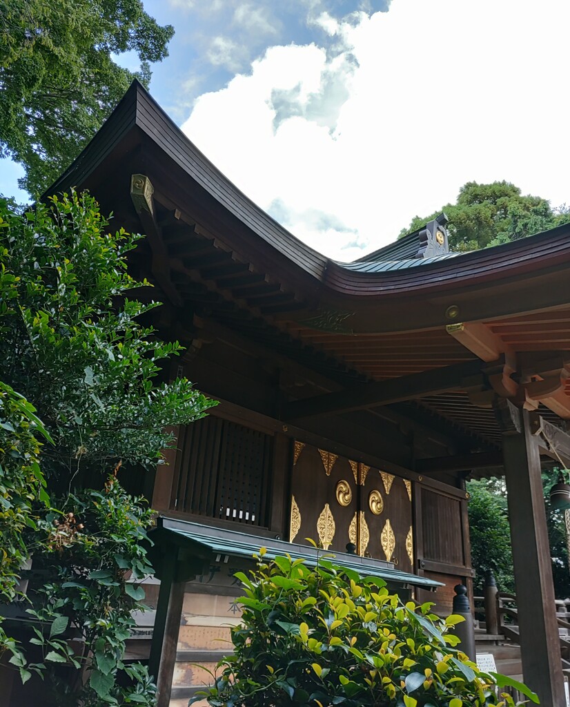 [神社]氷川
