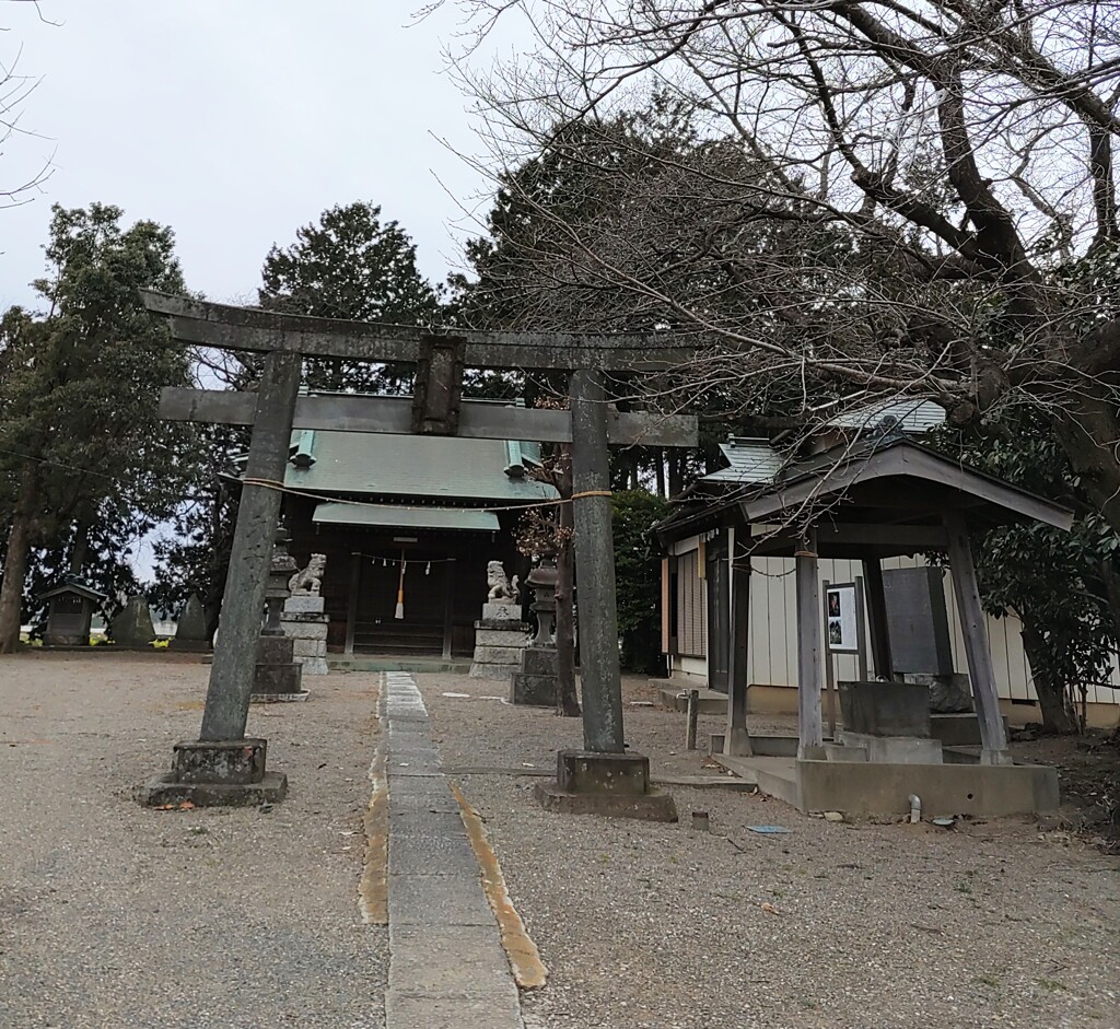 [氷川神社]