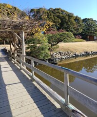 渡[木橋]