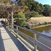 渡[木橋]