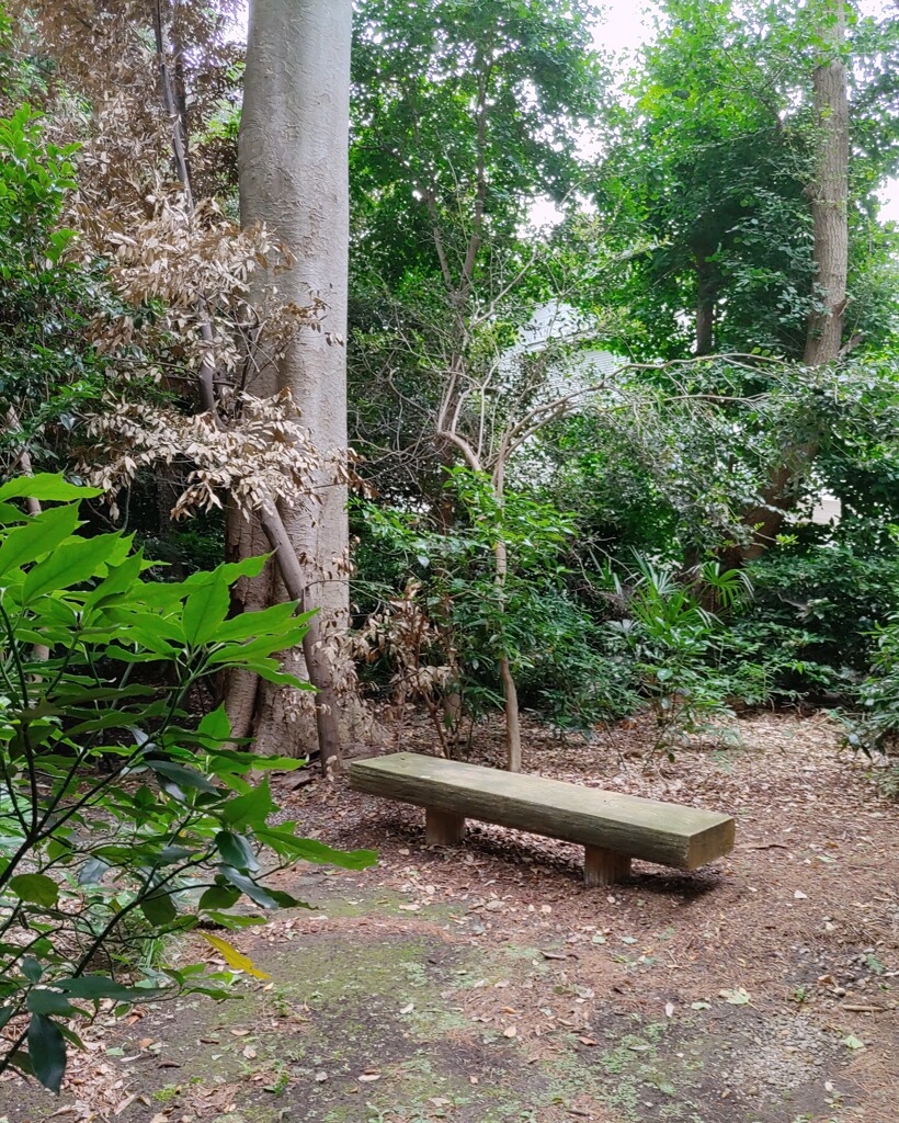 【休】ﾍﾞﾝﾁ