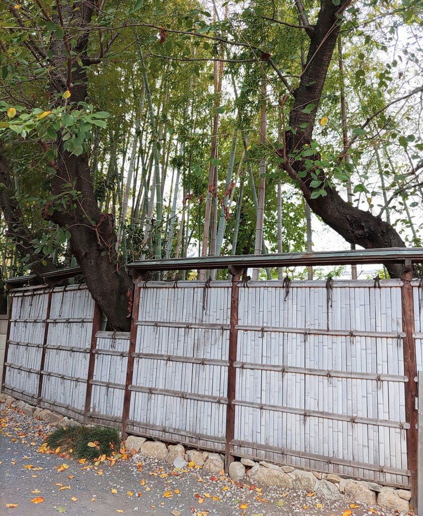 [竹垣]
