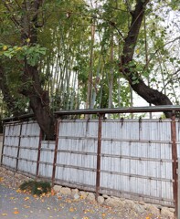 [竹垣]