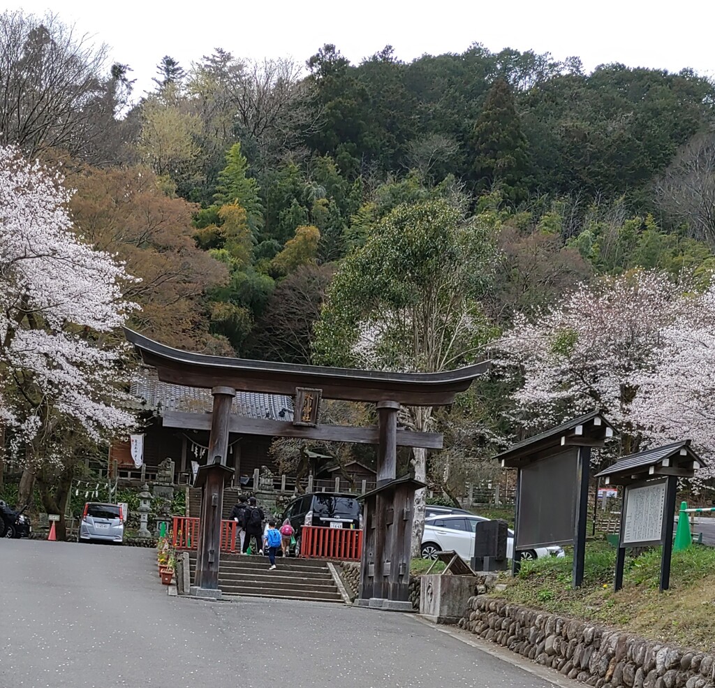 [氷川神社]