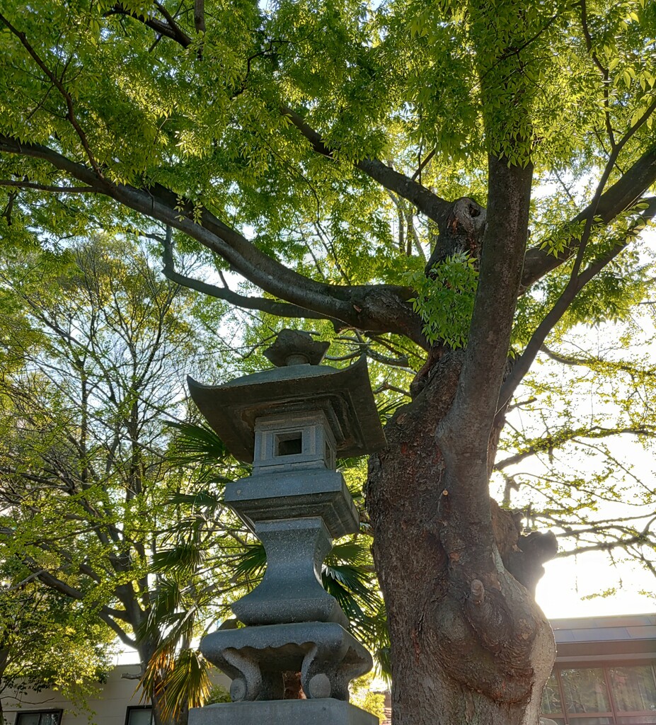 【燈】灯篭