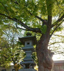 【燈】灯篭