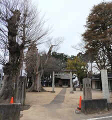 [氷川神社]