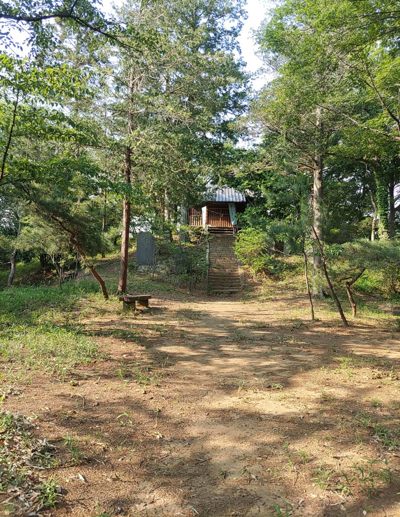 [径風景]