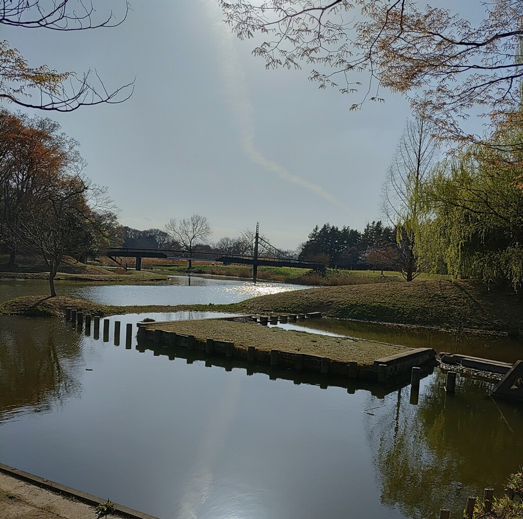 『沼』