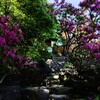 [二荒山神社]