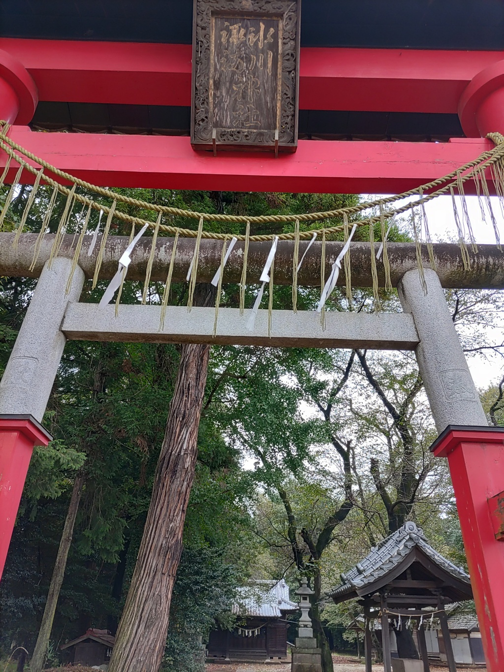 [神社]氷川諏訪