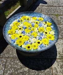 [花手水]