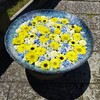 [花手水]