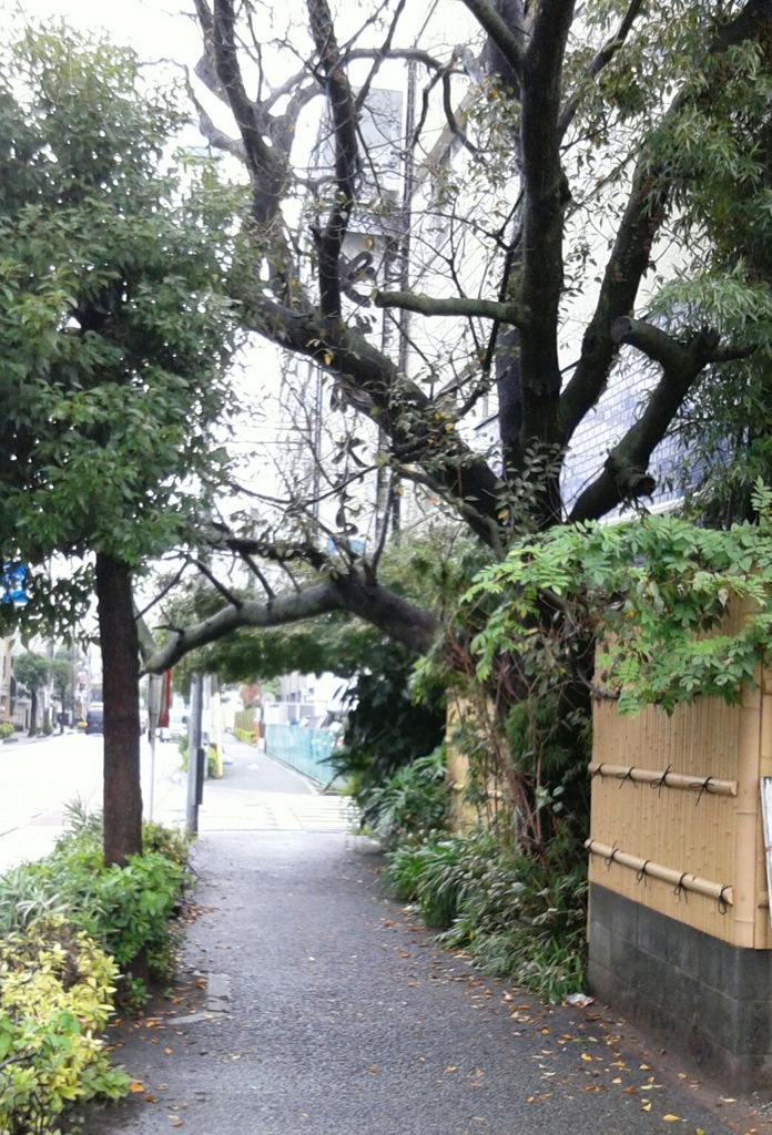 [径風景]
