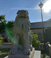 [狛犬]右