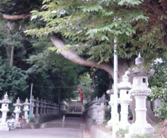 [径風景]