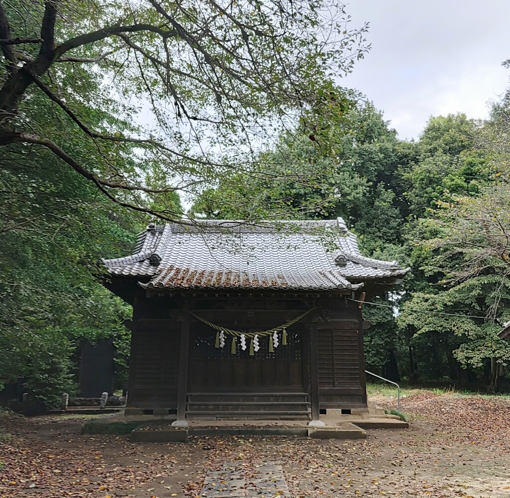 [神社]氷川諏訪