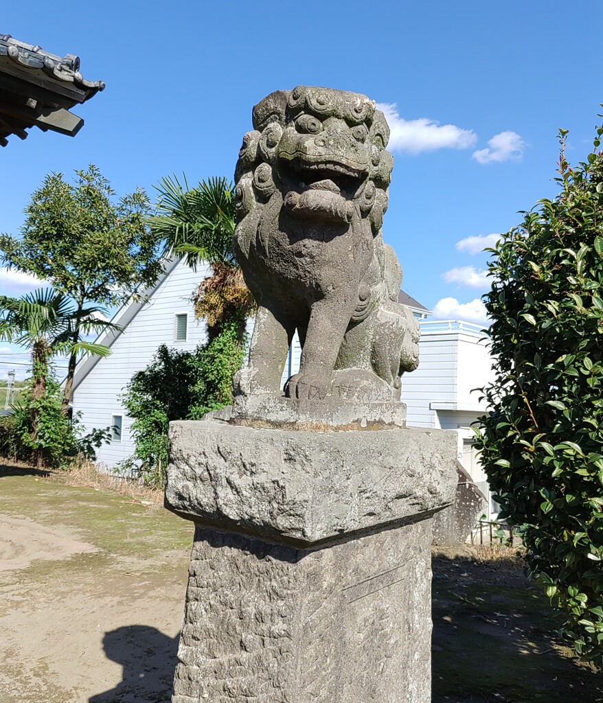 [狛犬]右